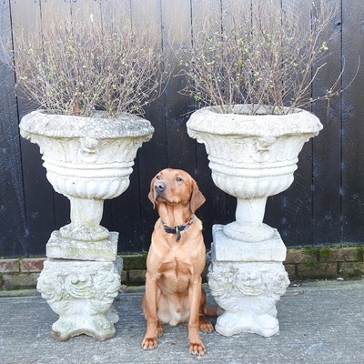 Lot 304 - A pair of garden urns