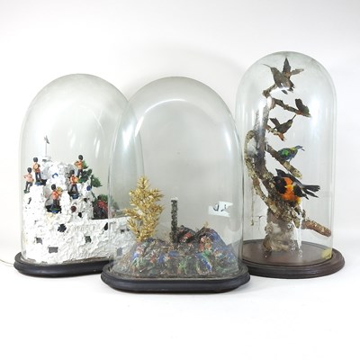 Lot 367 - A Victorian taxidermy group of exotic birds