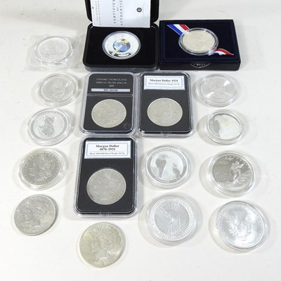 Lot 31 - A collection of dollar coins