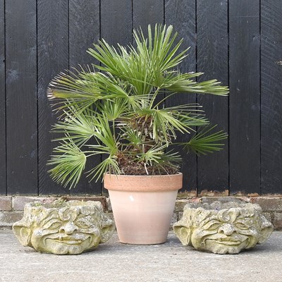 Lot 505 - A pair of cast stone garden planters