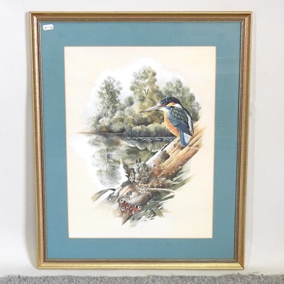 Lot 489 - Robert Coppillie, b1951, kingfisher
